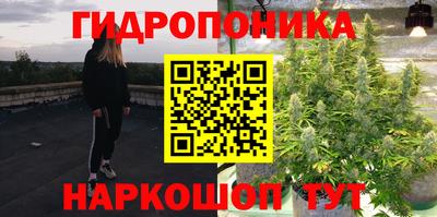 прущая мука Лесосибирск