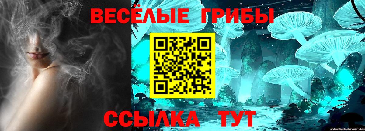 Долгопрудный  где найти наркотики  Вход с VPN  Псилоцибиновые грибы прущие грибы 