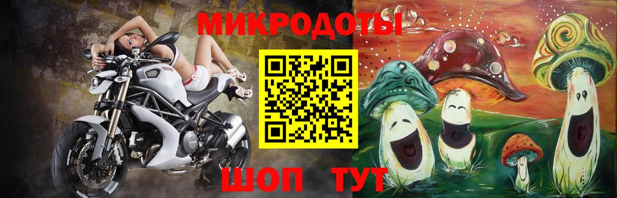 Галлюциногенные грибы Psilocybe Долгопрудный