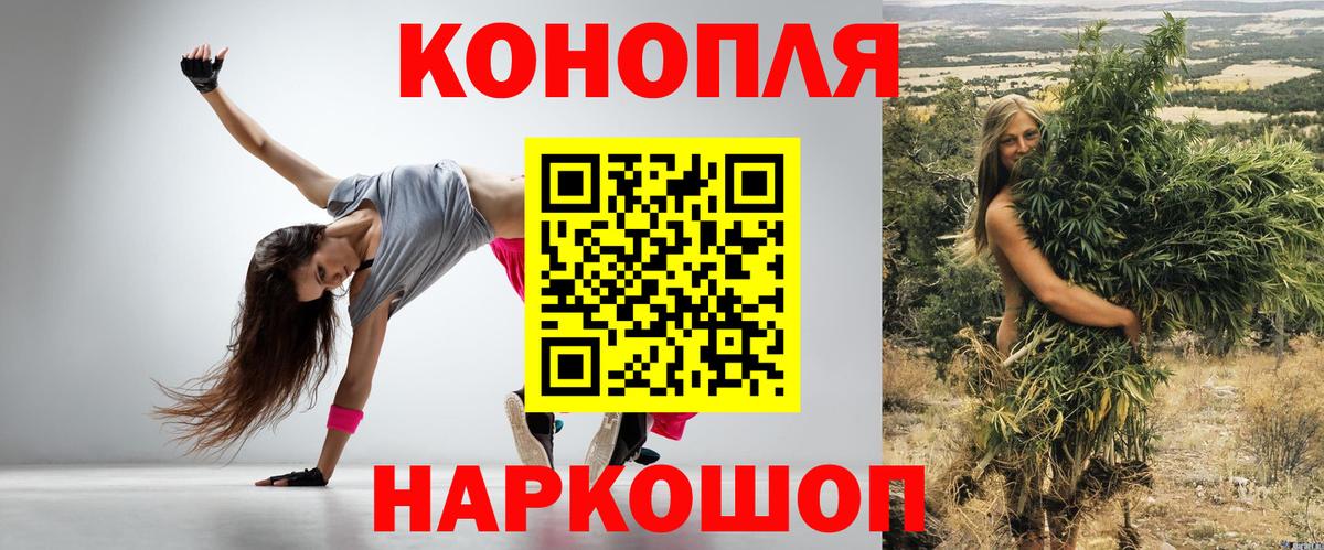 Бошки марихуана конопля  Вход с VPN  Долгопрудный  Марихуана гибрид  Марихуана конопля 